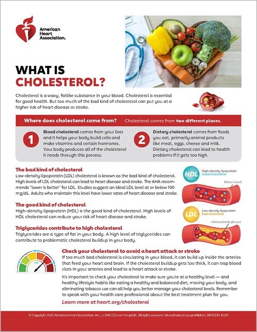 What is cholesterol? infographic