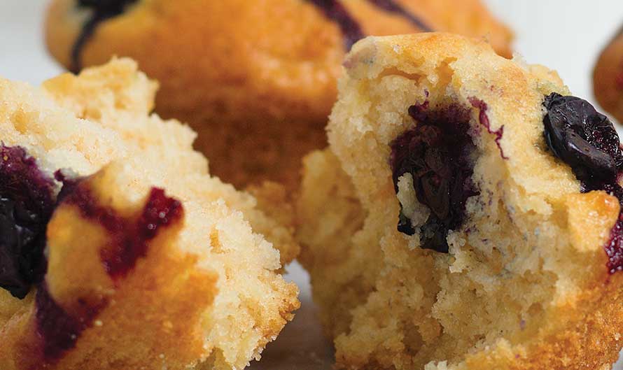 Blueberry Muffins-image