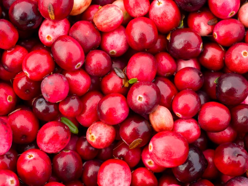 Be thankful for cranberries' health benefits all year long American