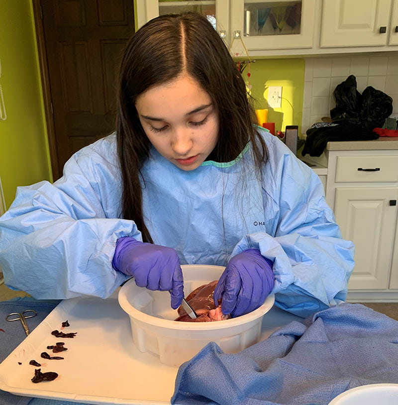 Olivia Lopez, who wants to become a cardiothoracic surgeon, practiced dissections at home for fun in 2019. (Photo courtesy of Laura Lopez)