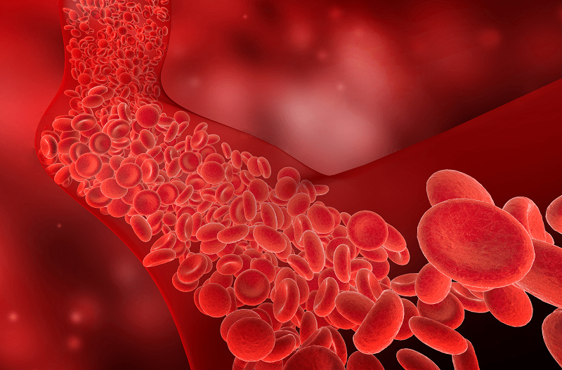 Flow of red blood cells through a vessel