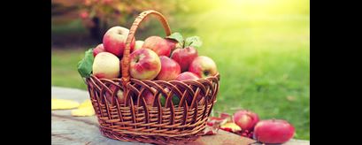 Apples