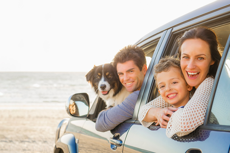 family and dog in car at the beach